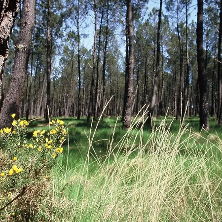 Сasa de vacaciones Seignanx